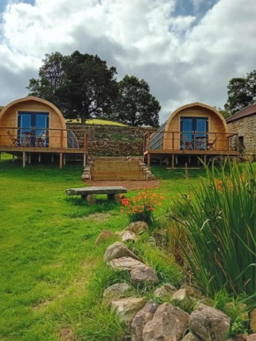 Coombs glamping pods
